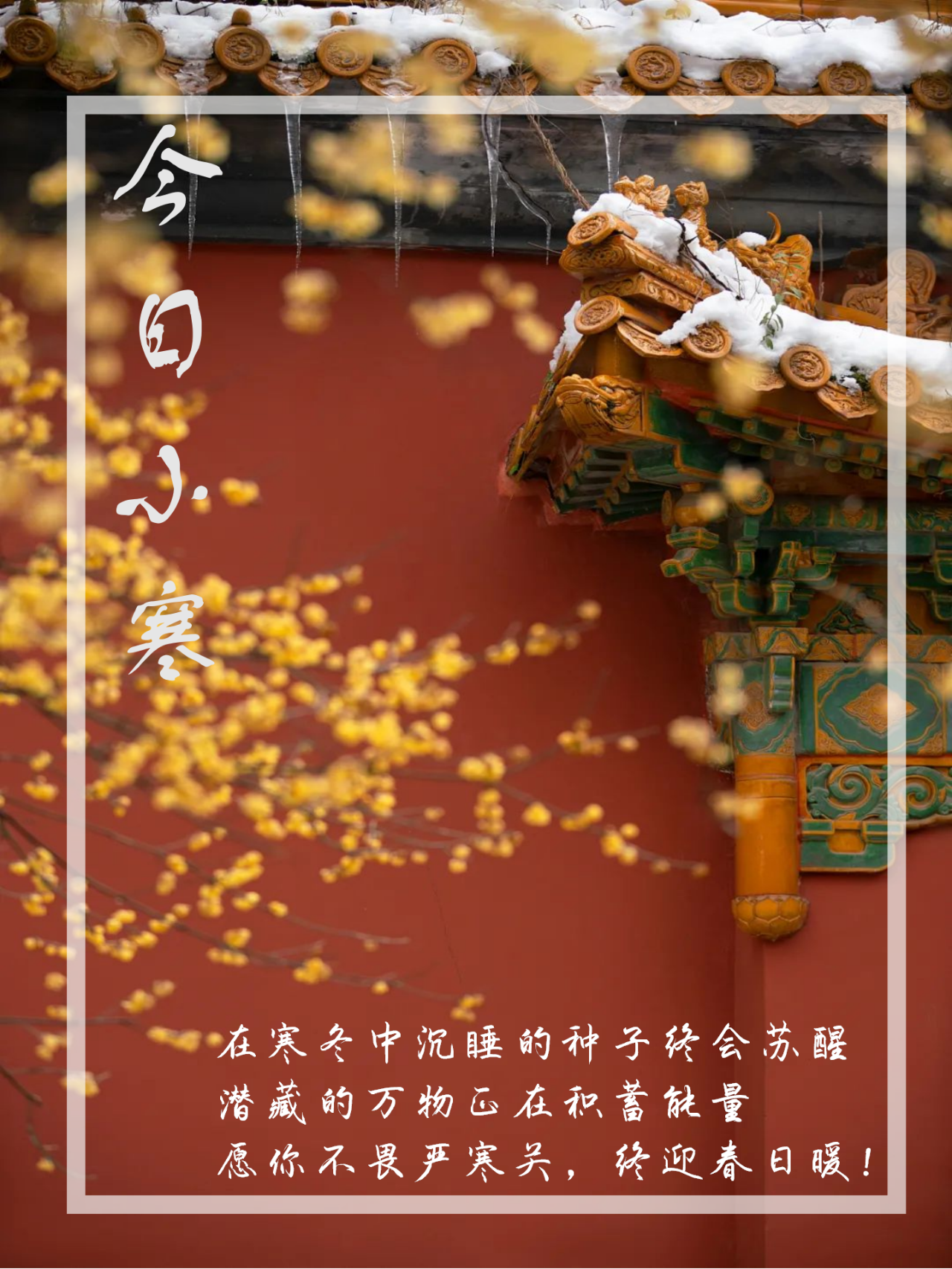 1-220105205ZM26.png